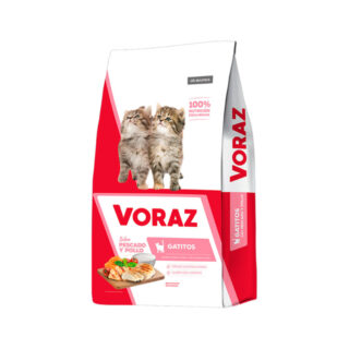 VORAZ GATITO bebe 15kg